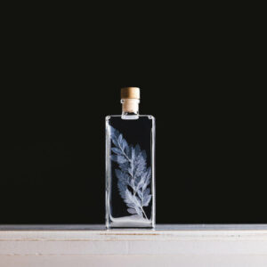 Théophile Berthon - Fougère cuir blanche 17cm