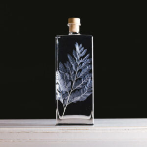Théophile Berthon - Fougère cuir blanche 26cm